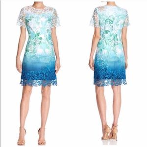 Elie Tahari Beautiful Ombré Lace Dress Size 8